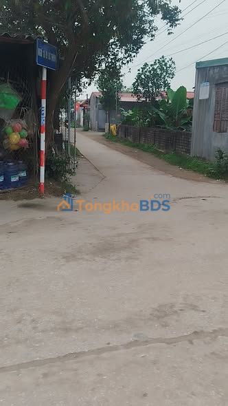 Đất Thăng Long Nông Cống 100m² 7xx triệu - Hạ tầng hoàn thiện