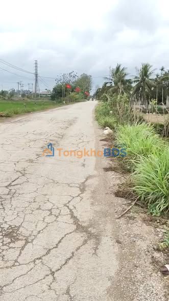 Bán Đất Thổ Cư 120m² Tế Độ, Nông Cống - Sổ Hồng Sẵn Sàng