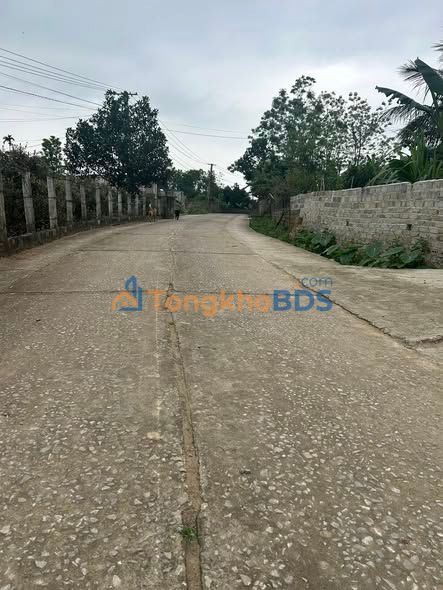 Đất nền Tượng Sơn Nông Cống 175m² giá 3xx triệu - Sổ đỏ sẵn