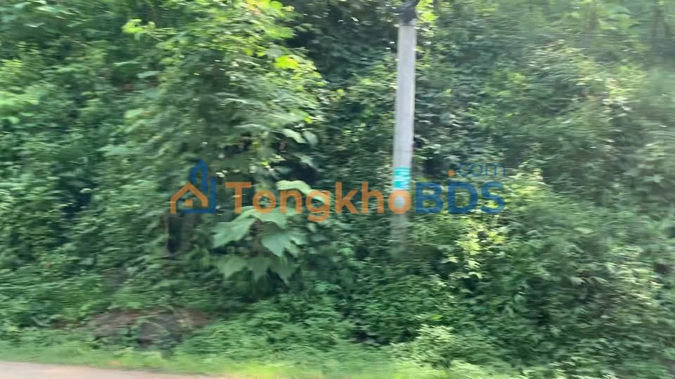 Đất nền Hữu Lũng 1500m² 60m mặt tiền - Đường ô tô