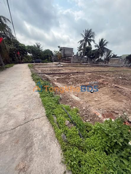 Đất nền Hàm Hi Tứ Kỳ 220m² 1 tỷ - Đầu tư dài hạn