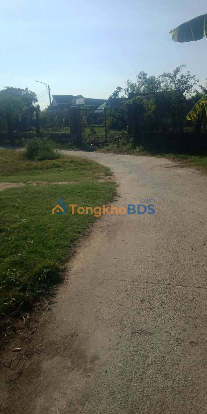 Đất nền Tân Hải Phú Mỹ 455m² 2.3 tỷ - Đường ô tô