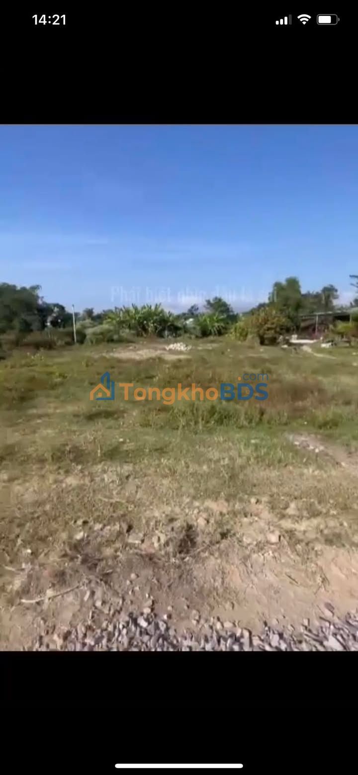 Đất Thổ Cư 100m² Thuận Minh, Bình Thuận - Sổ Đỏ Sẵn Sàng, Giá Chỉ 290 Triệu