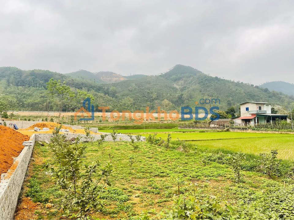 Đất nền Nông Tiến 125m² 700-799 triệu - Ô tô tránh nhau