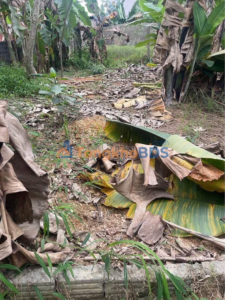 Đất thổ cư Thôn 2 Kim Phú 280m² - Xây dựng tự do