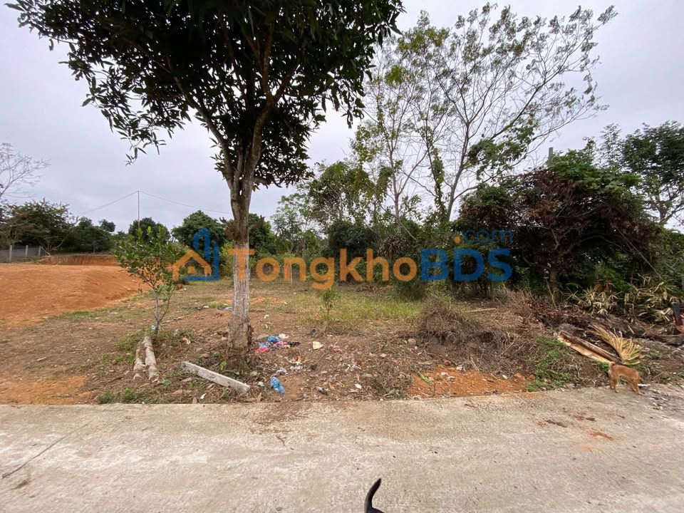 Đất nền Kim Phú 1 Minh Xuân 100m² - Thổ cư 100%