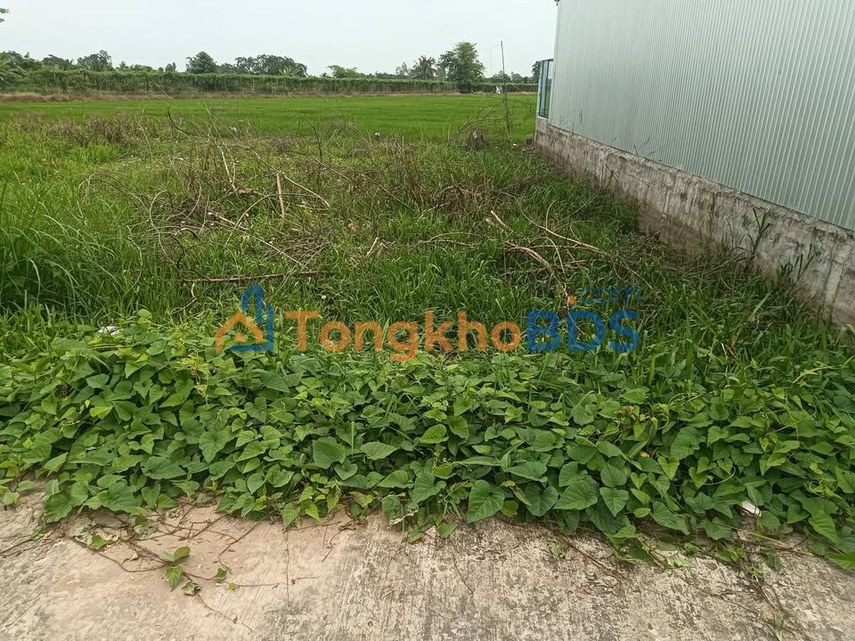 Đất Đông Phước Cờ Đỏ 97m² 260 triệu - Pháp lý rõ ràng