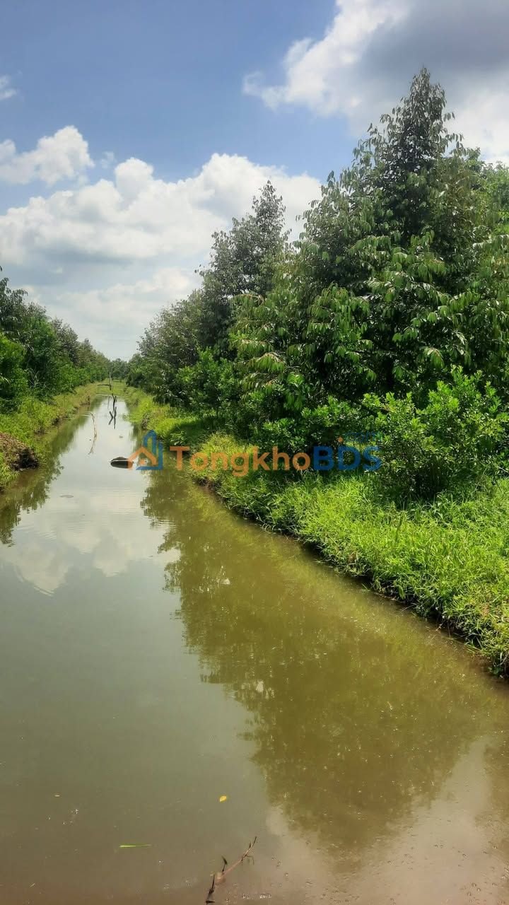 Đất nền Trường Long Phong Điền 4000m² 2.1 tỷ - Đường to ô tô