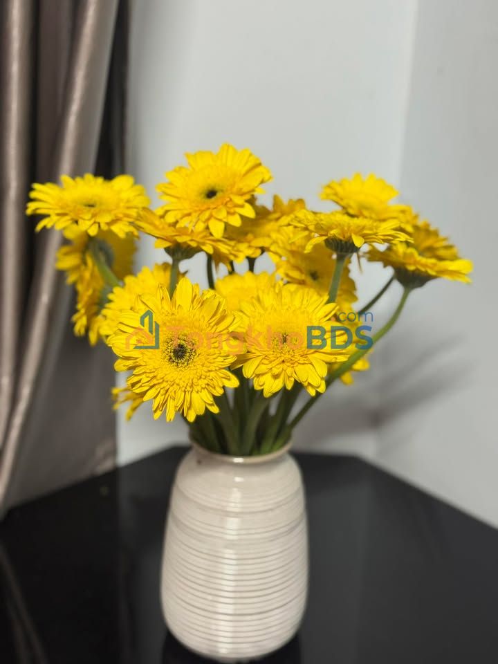 Đất nền Đông Hòa QL29 60m² 339tr - Sổ đỏ chính chủ