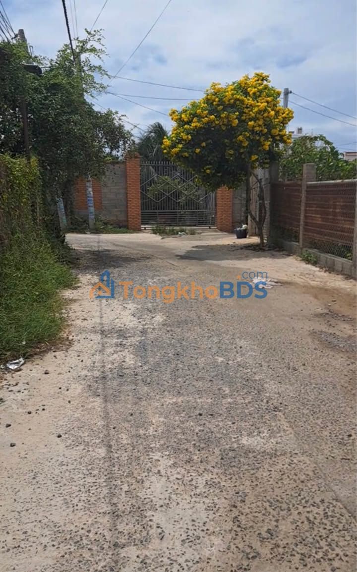 Đất nền Mũi Né 1000m² giá 9,5 tỷ - Đường ô tô vào đất