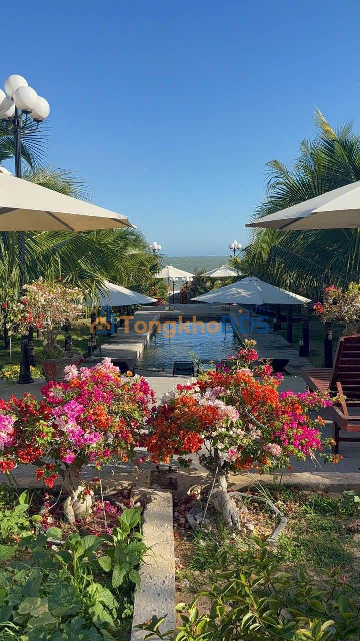 Đất NovaWorld Phan Thiết ven biển 1200m² - Hạ tầng hoàn thiện