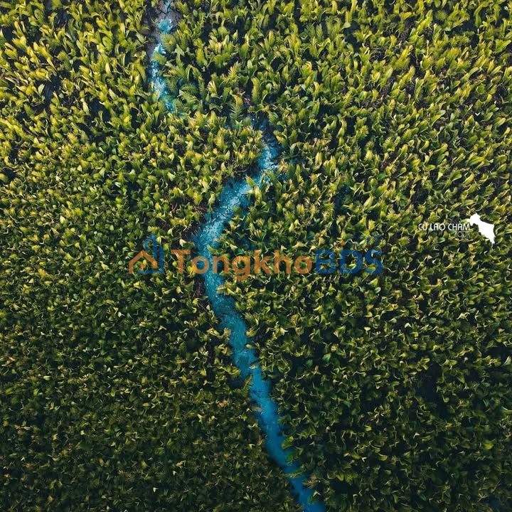 Đất nền Hội An 1424m² mặt tiền ĐX17 - Giá đầu tư 21.5 tỷ