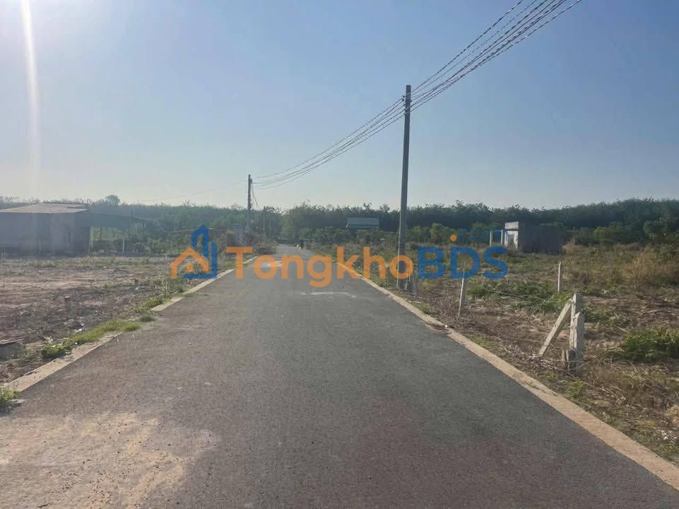 Đất nền Minh Thạnh 450m² 500 triệu - Sổ đỏ chính chủ