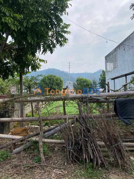 Đất nền Yết Kiêu, Lào Cai 87m² - Giá chỉ 7xx triệu - Sổ đỏ sẵn sàng