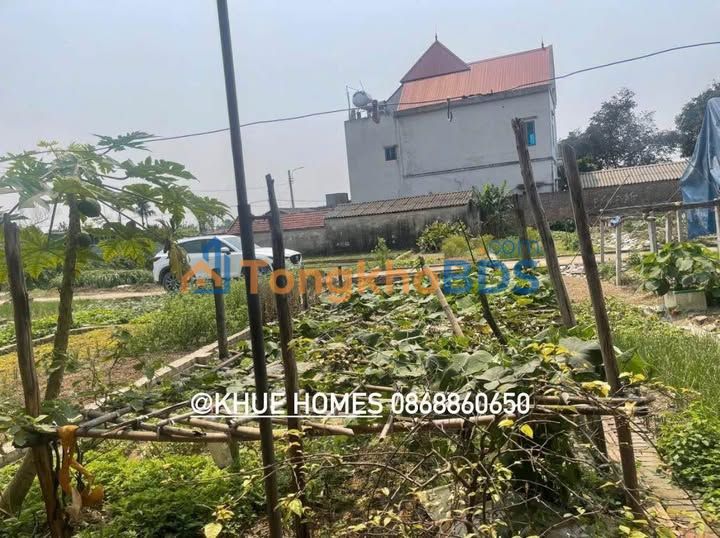 Đất nền Đông Anh 52m² 3 tỷ - Sổ đỏ chính chủ