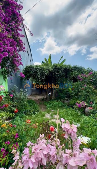 Bán Nền KDC Chợ Đầu Mối Mỹ Hiệp, Cao Lãnh - 63m², 720 Triệu, Sổ Hồng