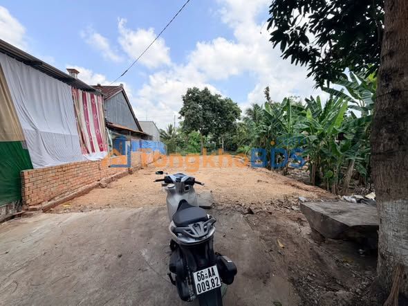 Đất nền Lấp Vò Bình Thạnh Trung 259m² 990 triệu - Sổ đỏ chính chủ