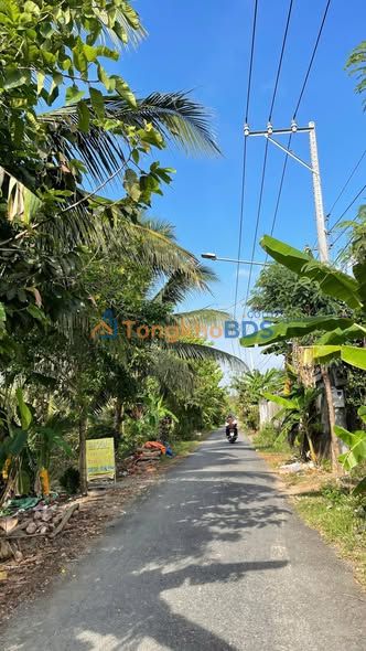 Đất nền Mỹ Phong, Tiền Giang 75m² - Sổ hồng riêng, giá nhỉnh 1 tỷ