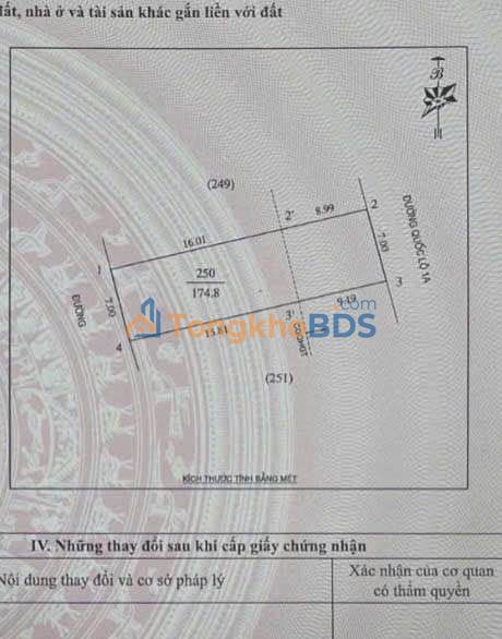 Đất Mặt Tiền Thăng Long, Vinh 174.8m² - Cơ Hội Đầu Tư Vàng