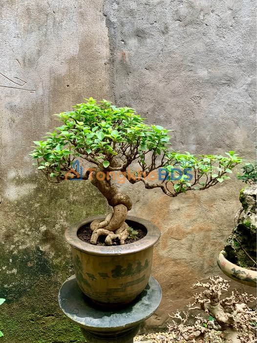 Đất Hưng Nguyên 126m² - Sẵn Sàng Xây Dựng - Gần Trường Thi