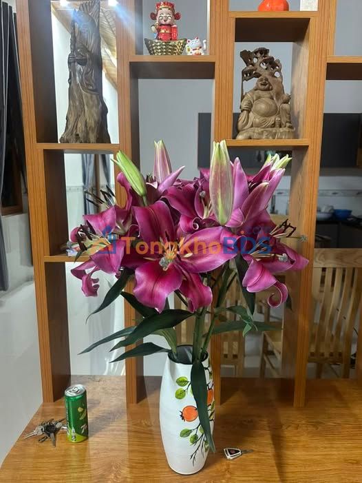 Đất nền Tân Hòa 228m² 380 triệu - Hạ tầng hoàn thiện