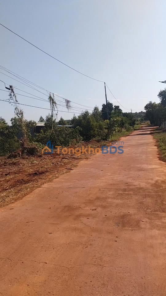 Đất vườn Nghĩa Bình Bù Đăng 2.160m² 1,55 tỷ - Sổ đỏ chính chủ