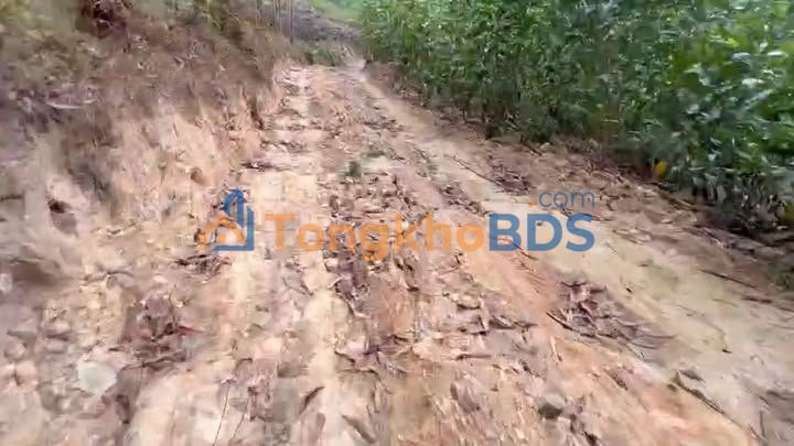 Bán Đất Nền 15.000m² Quảng Chu, Chợ Mới - Sổ Đỏ Rõ Ràng, Giá Đầu Tư 15 Tỷ