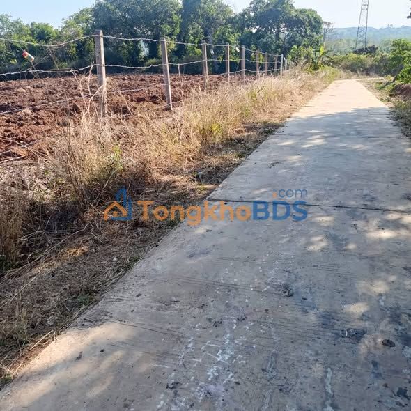 Đất nền Tân Hòa Buôn Đôn 1.800m² 1 tỷ - Đường to ô tô