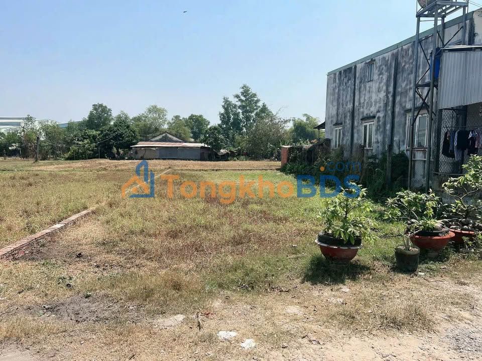 Đất nền Mỹ Hạnh Bắc 130m² giá 1.25 tỷ - Sổ đỏ chính chủ