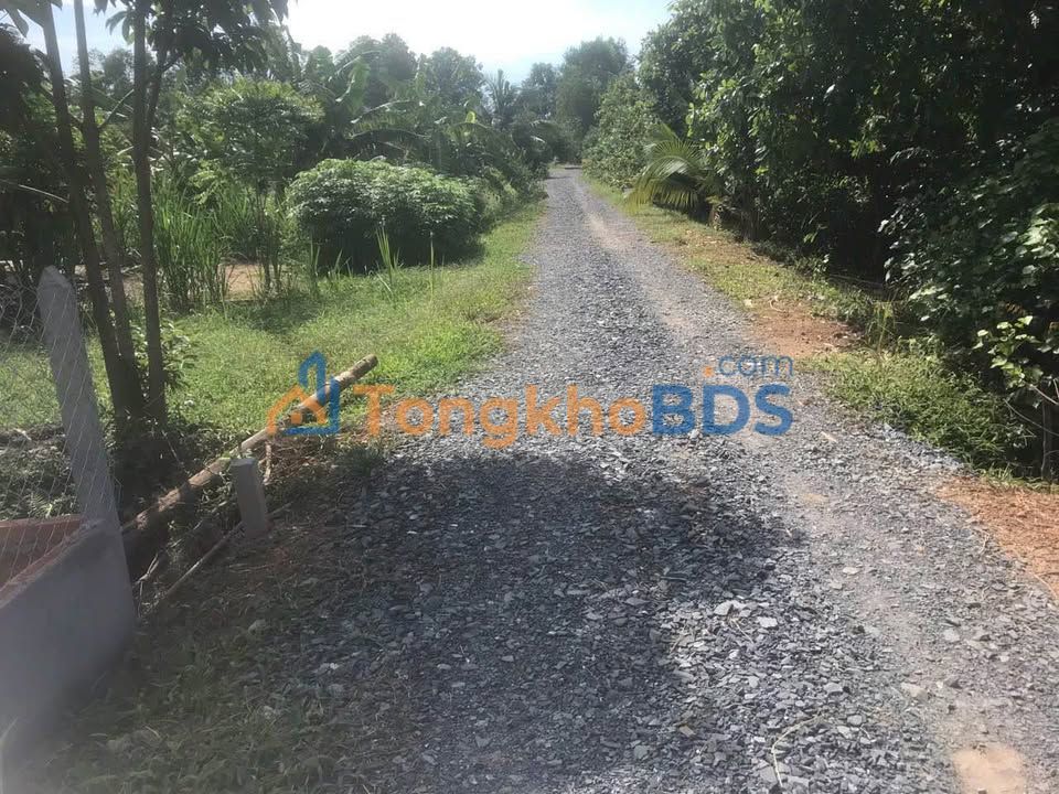 Đất TL823 Hòa Khánh Tây 150m² 750 triệu - Sổ đỏ chính chủ