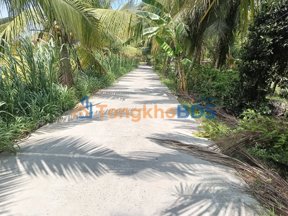 Đất nền Hòa Ân Cầu Kè 516m² 280 triệu - Hạ tầng hoàn thiện