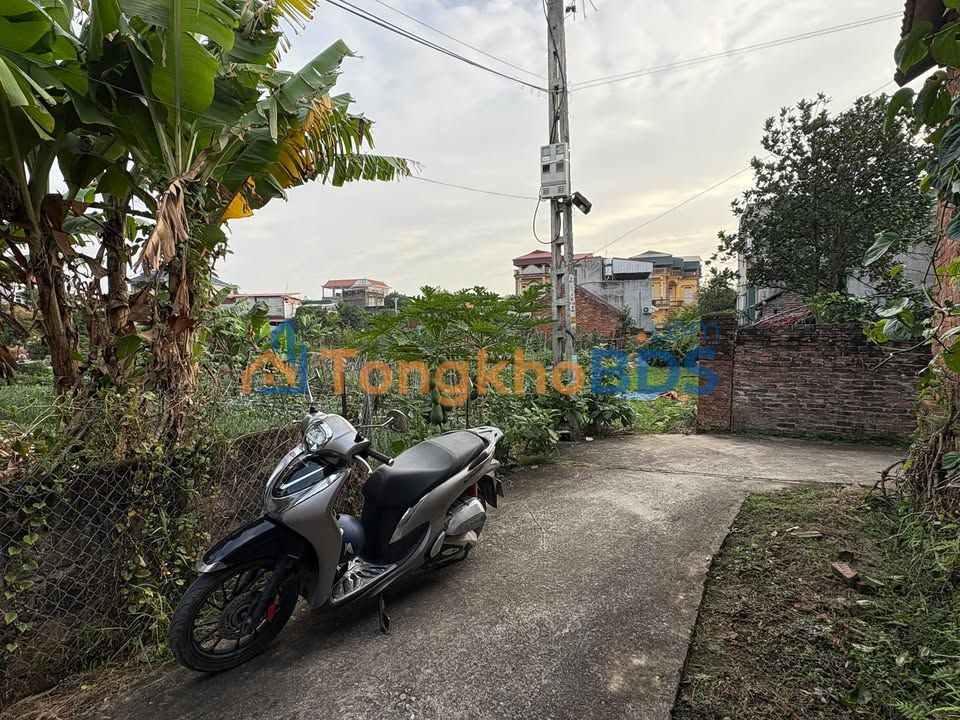 Đất nền Tân Lãng 500m² thỏa thuận - Đất thổ cư 100%