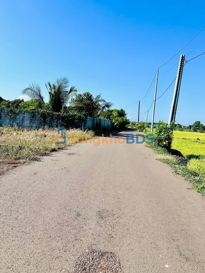 Đất Nền Suối Rao, Châu Đức 180m² - Sổ Hồng Sẵn Sàng, Giá Đầu Tư 590 Triệu