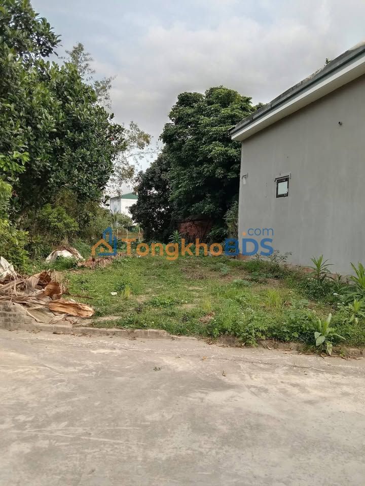 Đất nền Thanh Giang 130m² 1 tỷ - Đường to ô tô