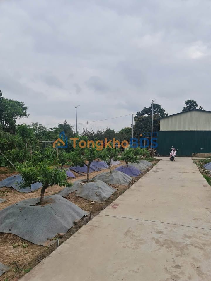 Bán Đất Nền Phố Thanh Liễu, TP Hải Dương - 51.9m² - 1 Tỷ xx