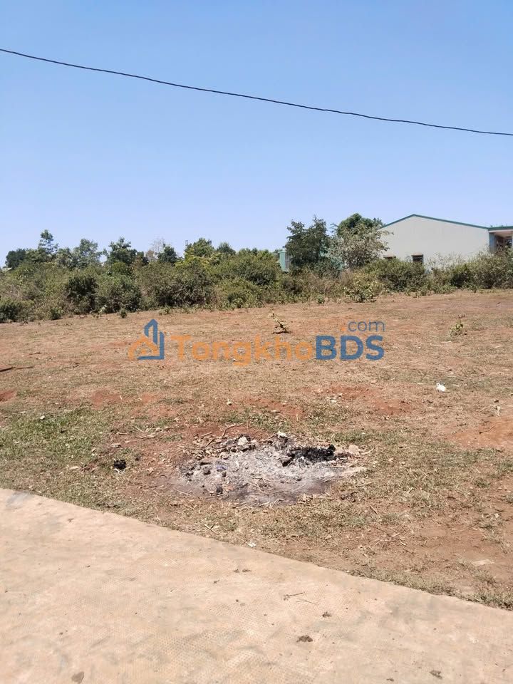 Đất nền Ia Phang, Chư Pưh: 132m² Full Thổ Cư, Giá Tốt