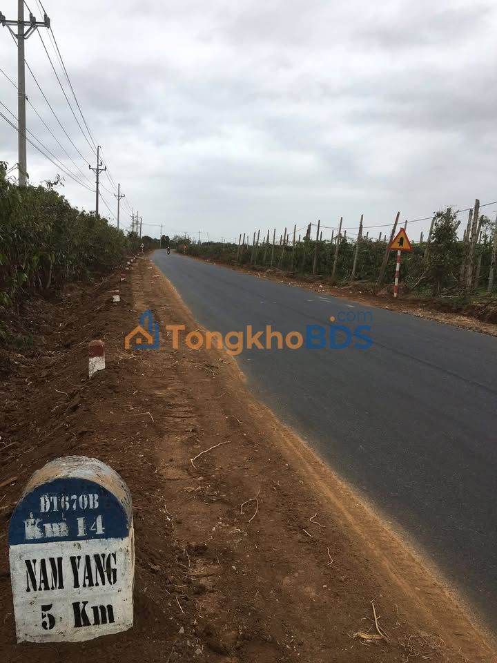 Đất Rẫy 9.2 Sào Tại Đăk Đoa - Sổ Hồng Sẵn, Giá Tốt