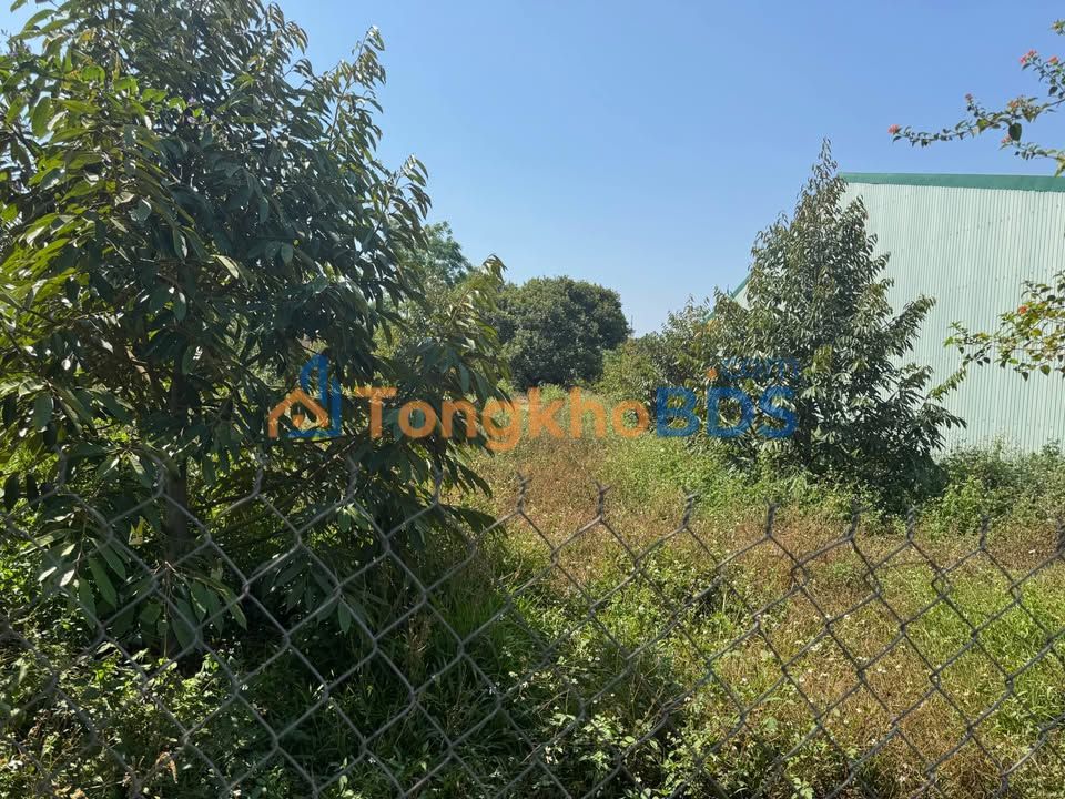 Nhà MT Lý Thái Tổ Chưprông 5x46 600 triệu - Chính chủ bán