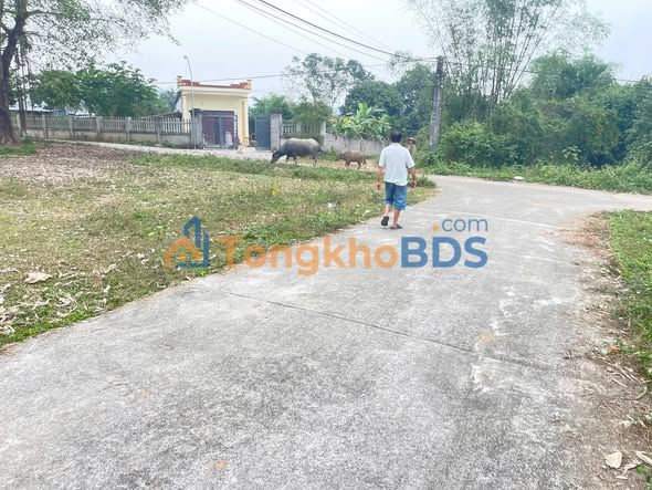 Đất xã Đoàn Kết 344m² 5XX triệu - Tiềm năng tăng giá