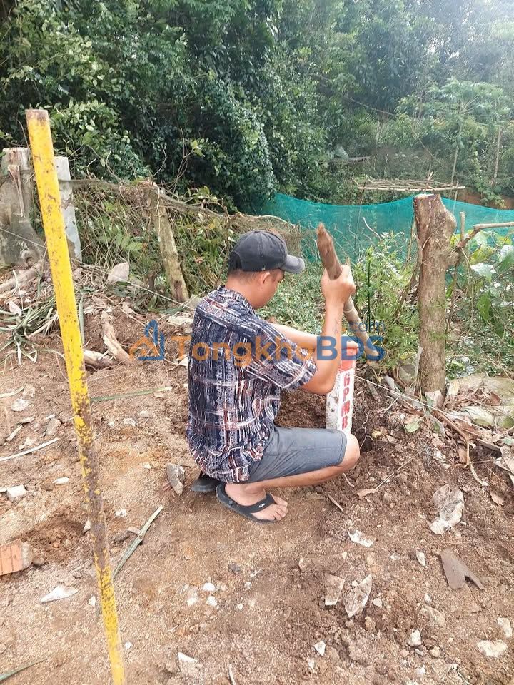 Đất Nền Phú Thịnh Tam Kỳ - 2 Lô Liền Kề 150m² Full Thổ Cư, Giá Tốt