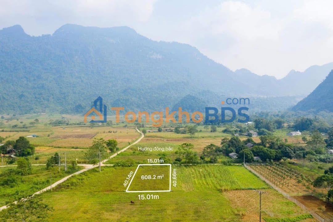 Đất Thôn Lùng Càng 608m² 400 triệu - Giá tốt hiếm có