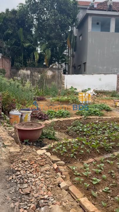 Đất nền Hùng Vương Việt Trì 300m² 6 tỷ - Sổ đỏ chính chủ