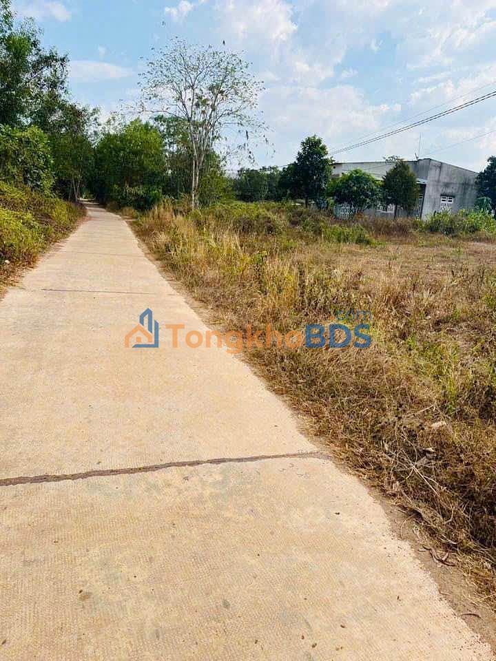 Bán Gấp Đất Nền 3000m² Phước Sơn, Bình Phước - Giá Tốt