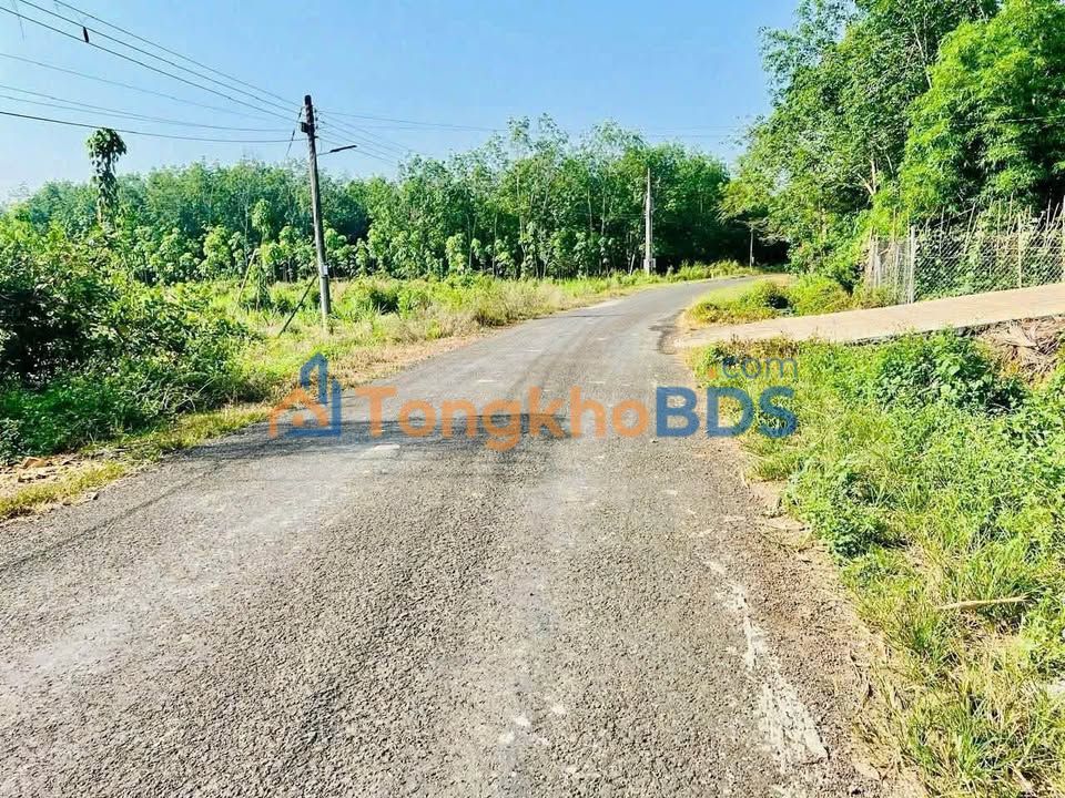 Đất nền Suối Binh Đồng Tâm 240m² 3xx triệu - Sổ đỏ chính chủ