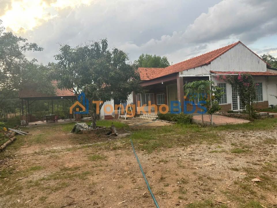Bán Đất Vườn Đồng Xoài 5200m² - Sổ Hồng Rõ Ràng