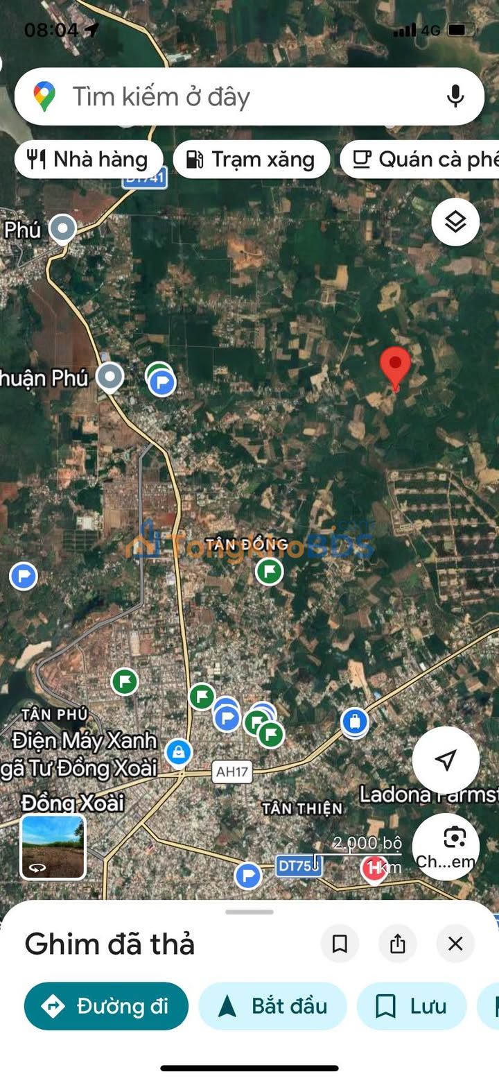 Đất nền Tân Phước Bình Phước 396m² 350 triệu - Sổ đỏ chính chủ