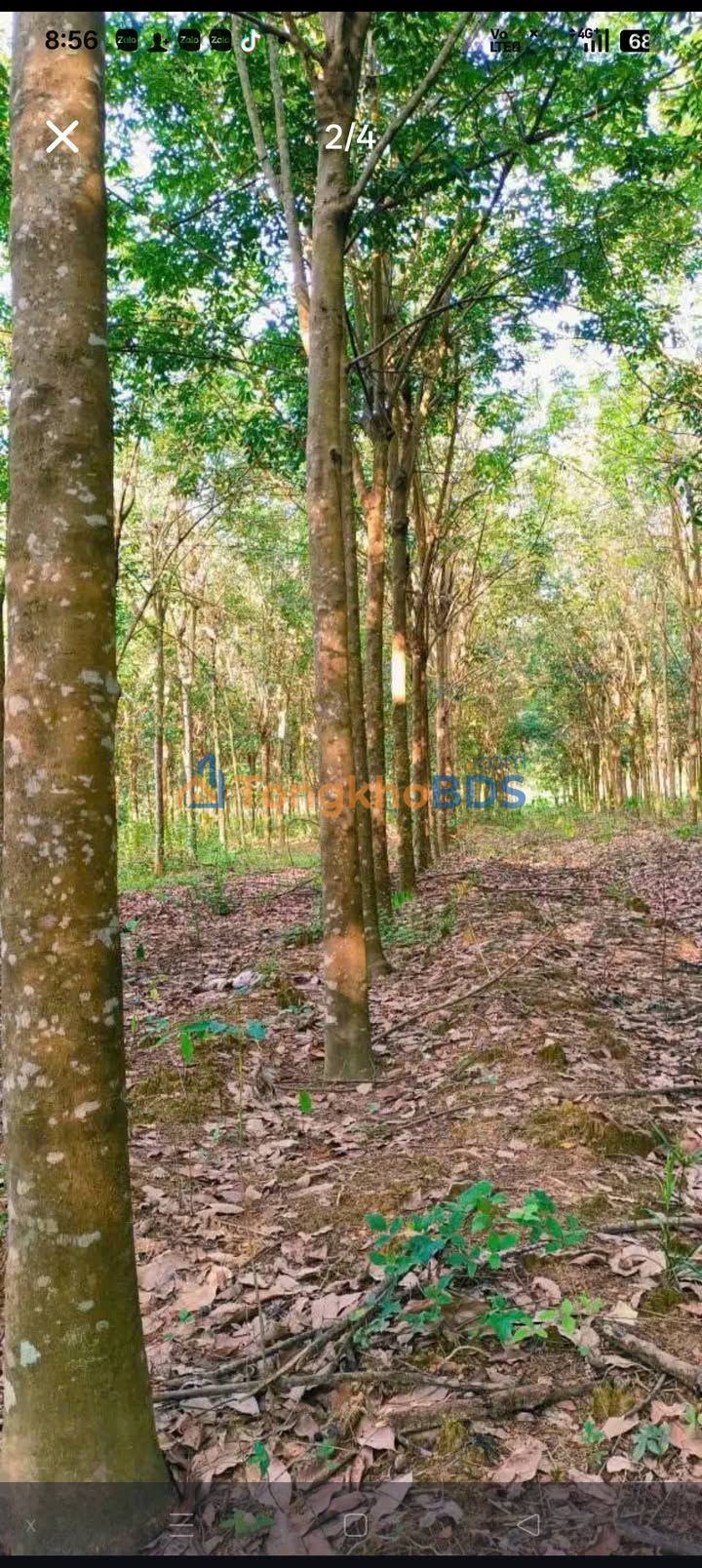 Farm Đồng Tâm 15ha 33,88 tỷ - Đường to ô tô