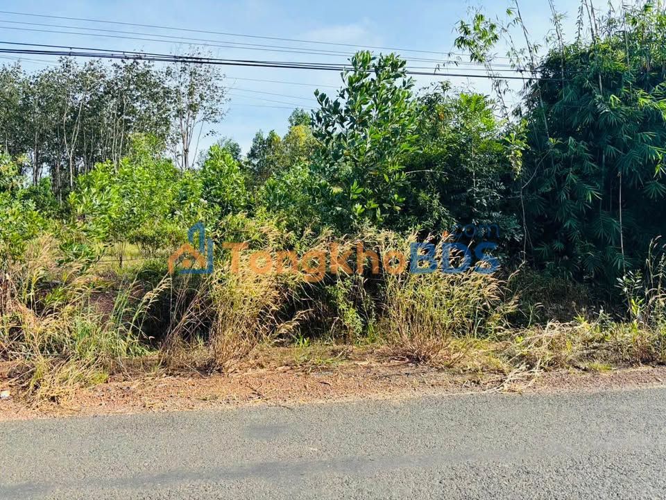 Đất nền Đường ĐH Tân Phước Đồng Phú 2.880m² 2 tỷ - Đất thổ cư 100%