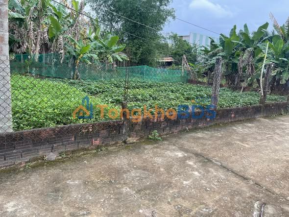 Đất Quế Phong Quế Sơn 125m² 400 triệu - Đất thổ cư 100%