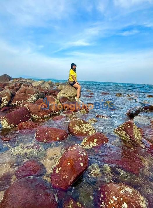 Đất Biển Hải Tiến 136m² - Chỉ 6xx Triệu, Cách Biển 200m, Ô Tô Tới Nơi